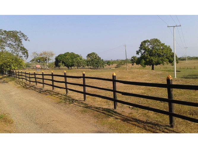 Finca en  Arriendo en Mahates - Miniatura 9