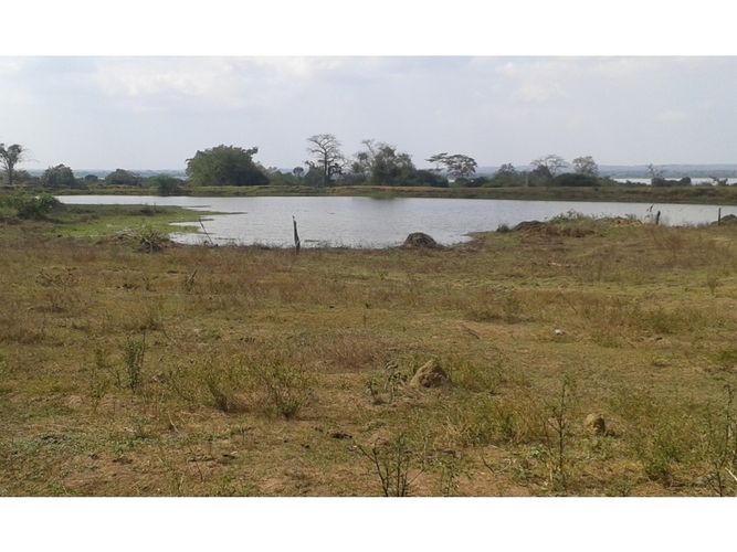 Finca en  Arriendo en Mahates - Miniatura 17