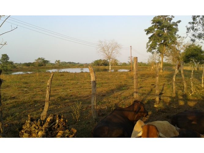 Finca en  Arriendo en Mahates - Miniatura 20