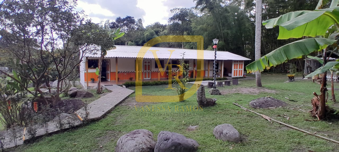 Finca en venta en Plestina, Salento - Miniatura 21