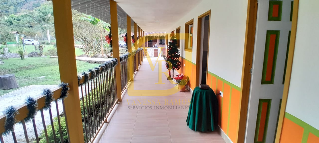 Finca en venta en Plestina, Salento - Miniatura 22