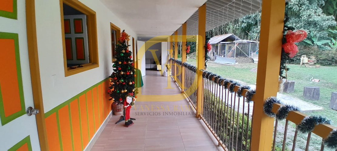 Finca en venta en Plestina, Salento - Miniatura 23