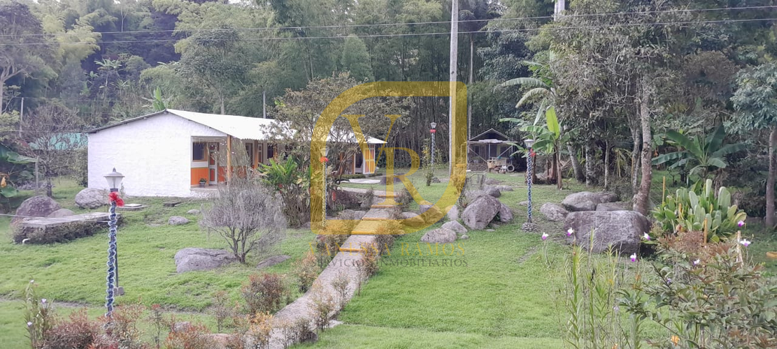 Finca en venta en Plestina, Salento - Miniatura 24