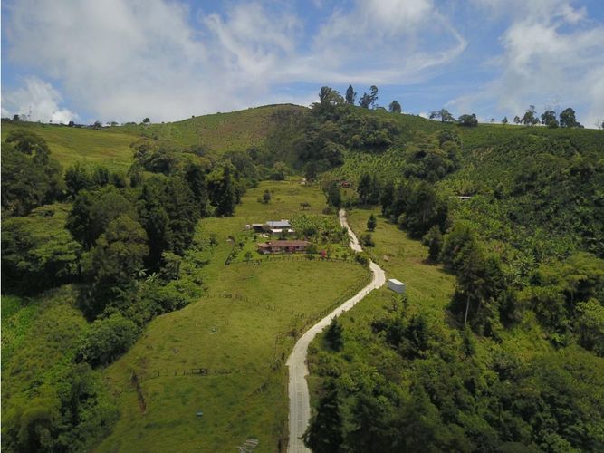 Finca en  Venta en Fredonia - Miniatura 13