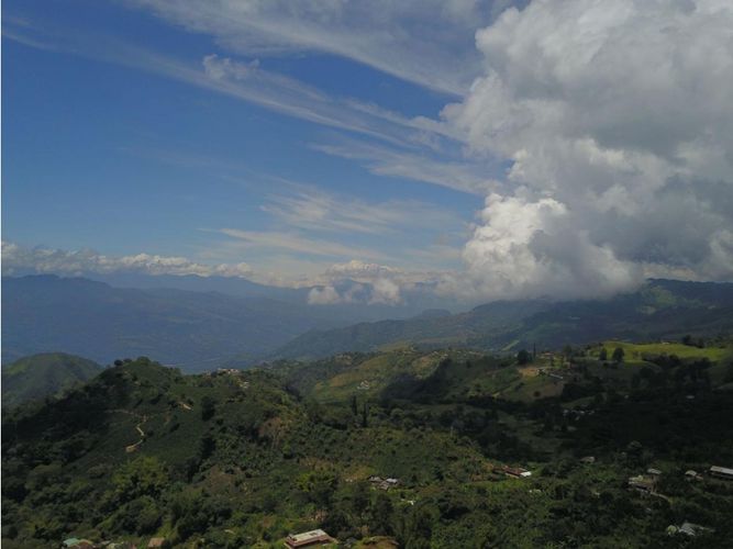 Finca en  Venta en Fredonia - Miniatura 16