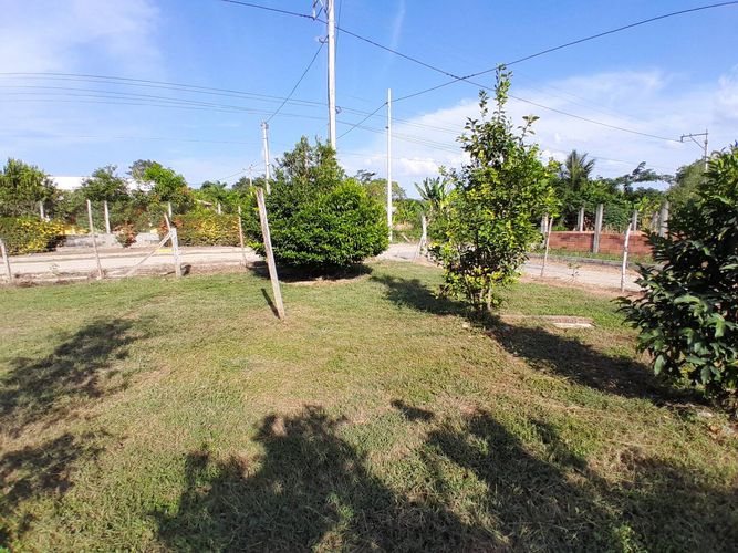 Finca en  Venta en Montería - Miniatura 2