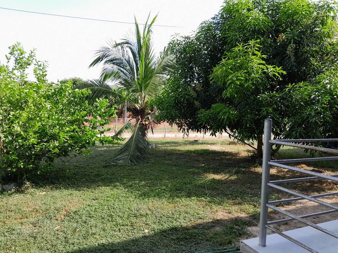 Finca en  Venta en Montería - Miniatura 19