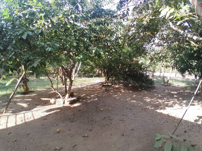 Finca en  Venta en Montería - Miniatura 24