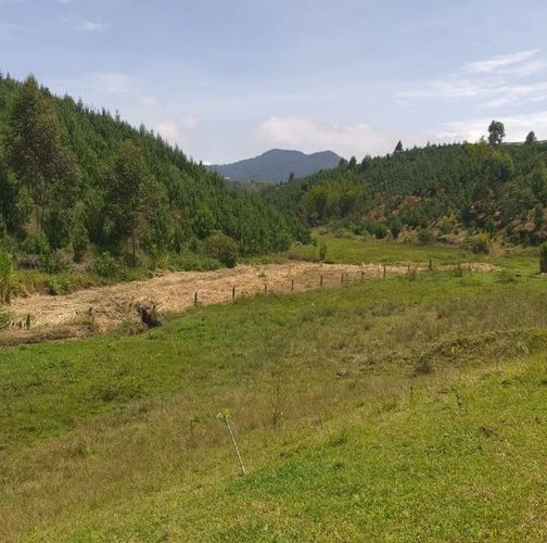 Finca en  Venta en Alto grande, El carmen de viboral - Miniatura 3