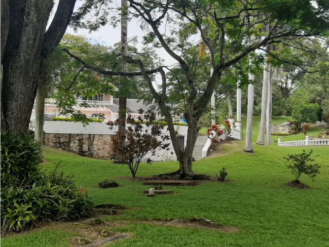 Finca en  Venta en Fusagasugá - Miniatura 14