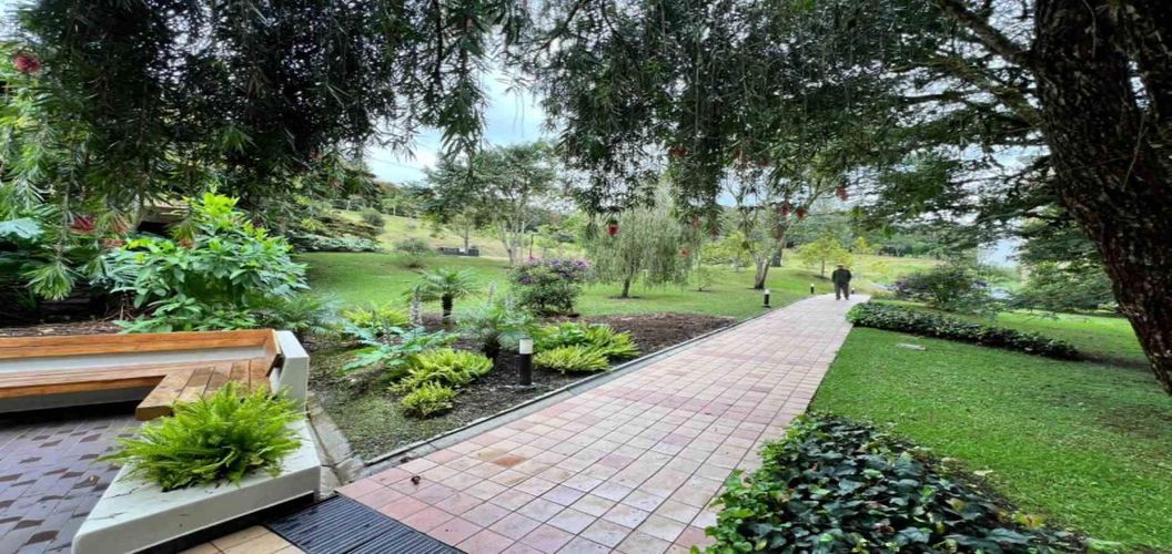 Apartaestudio en  Arriendo en El Retiro - Miniatura 22