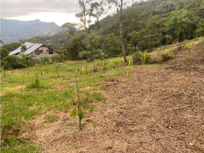 Finca en venta en Viani - Miniatura 3