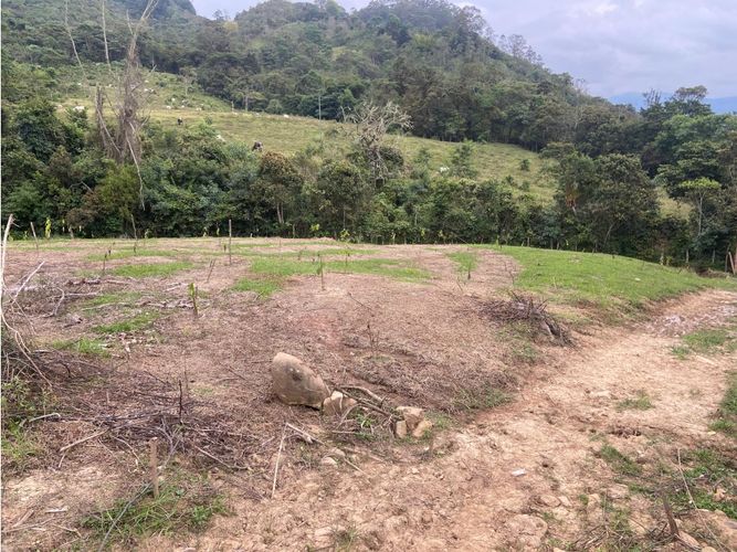 Finca en venta en Viani - Miniatura 4