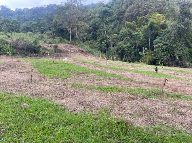 Finca en venta en Viani - Miniatura 5