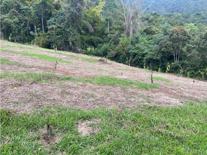 Finca en venta en Viani - Miniatura 7