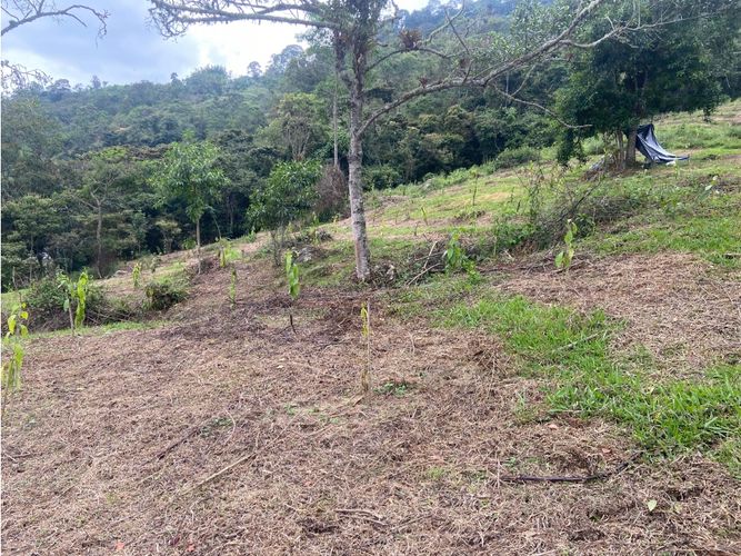 Finca en venta en Viani - Miniatura 8