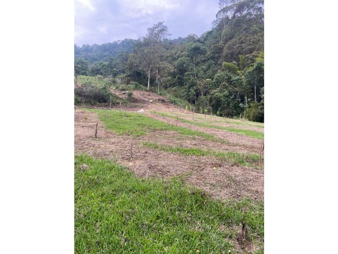 Finca en venta en Viani - Miniatura 9
