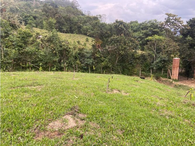 Finca en venta en Viani - Miniatura 10