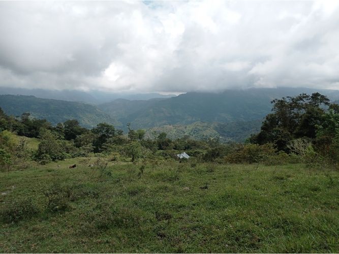 Finca en venta en Viani - Miniatura 11