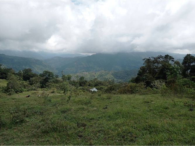 Finca en venta en Viani - Miniatura 12