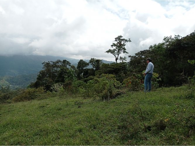 Finca en venta en Viani - Miniatura 13