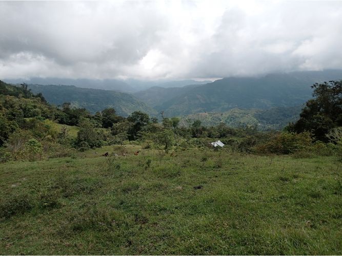Finca en venta en Viani - Miniatura 14