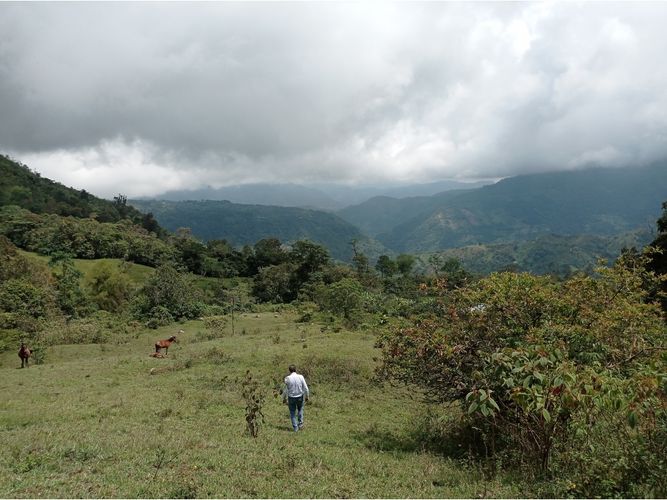 Finca en venta en Viani - Miniatura 15