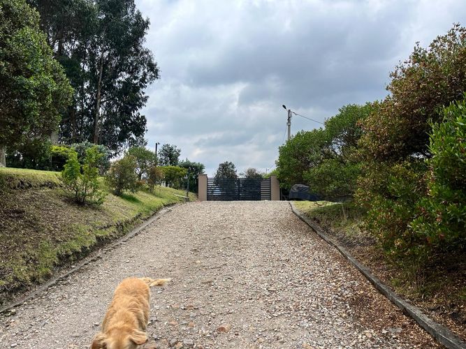 Finca en  Venta en Rio frio oriental, Tabio - Miniatura 29