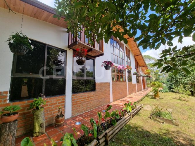 Finca en  Venta en El Saladito, Cali - Miniatura 24