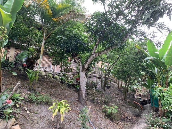 Finca en  Arriendo en Zapata, La mesa - Miniatura 10