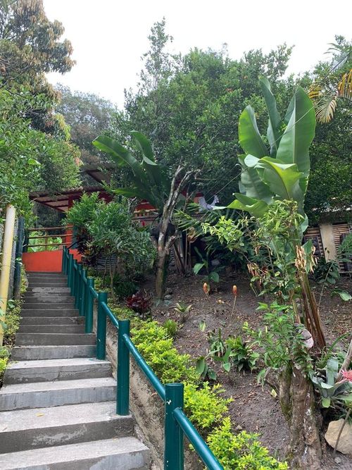 Finca en  Arriendo en Zapata, La mesa - Miniatura 11
