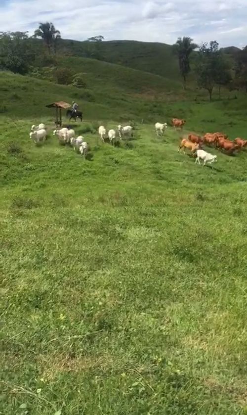 Finca en  Venta en Cano baul, Cimitarra - Miniatura 2