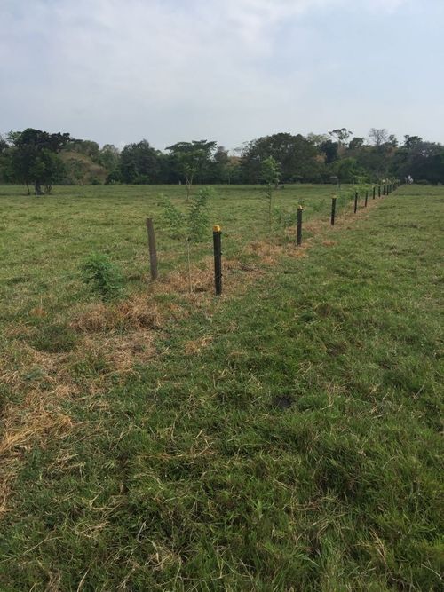 Finca en  Venta en Cano baul, Cimitarra - Miniatura 3