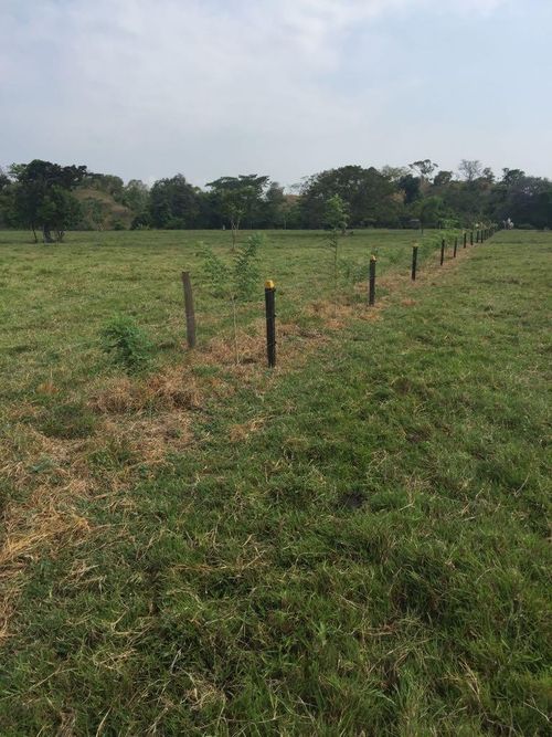 Finca en  Venta en Cano baul, Cimitarra - Miniatura 7