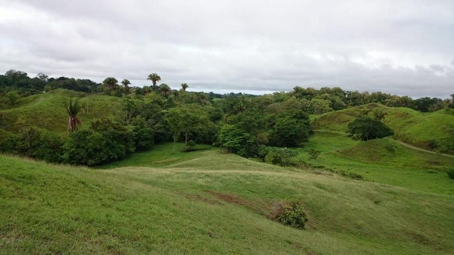 Finca en  Venta en Cano baul, Cimitarra - Miniatura 8