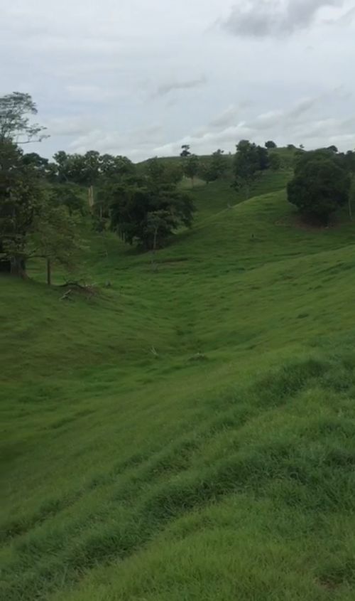 Finca en  Venta en Cano baul, Cimitarra - Miniatura 15