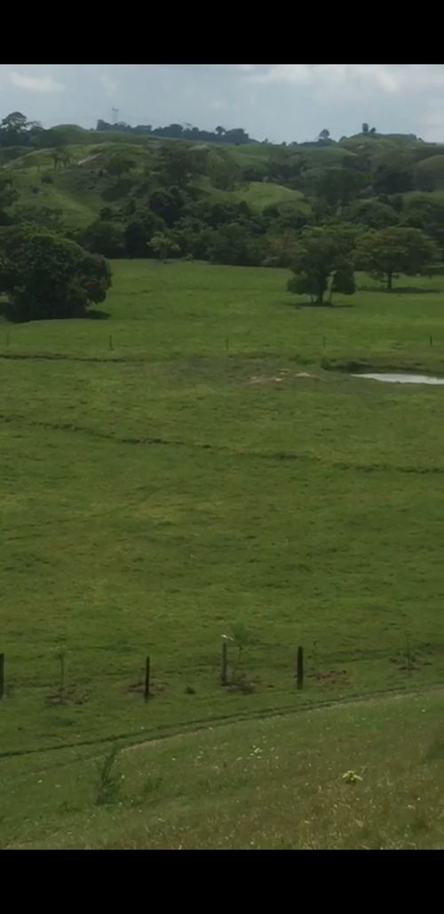 Finca en  Venta en Cano baul, Cimitarra - Miniatura 19