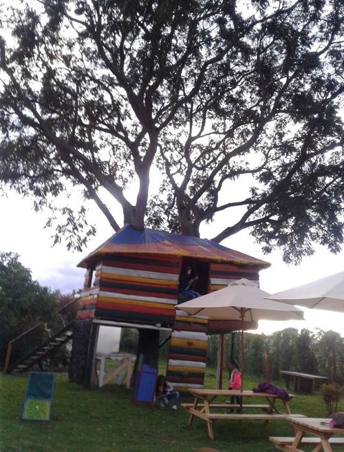 Finca en  Arriendo en Chitasuga, Tenjo - Miniatura 20