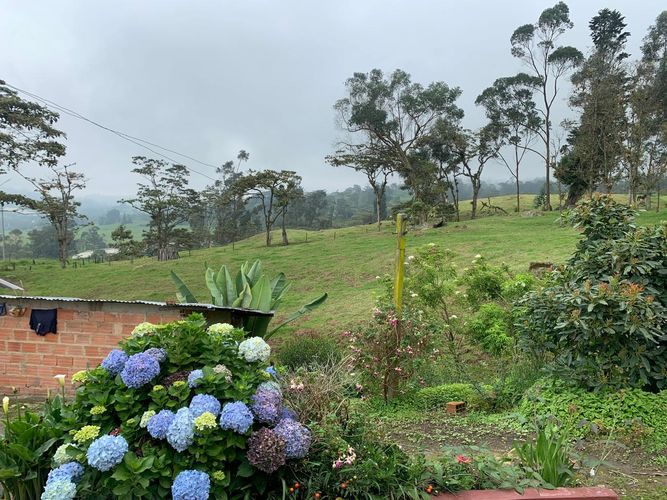Finca en  Venta en Granada - Miniatura 14