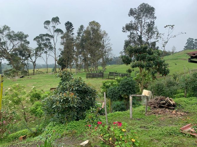 Finca en  Venta en Granada - Miniatura 23