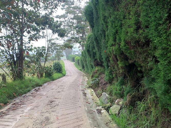 Finca en  Venta en Granada - Miniatura 27