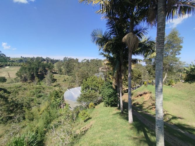 Finca en  Arriendo en El Tablazo, Rionegro - Miniatura 10