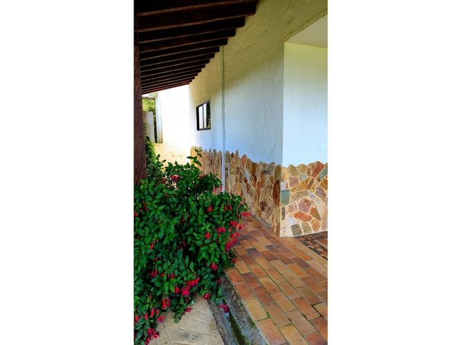 Finca en  Venta en El carmen de viboral - Miniatura 5