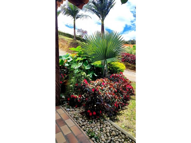 Finca en  Venta en El carmen de viboral - Miniatura 9