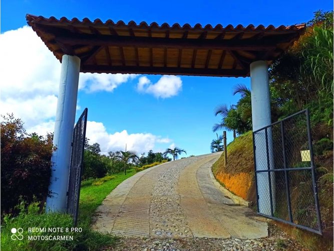 Finca en  Venta en El carmen de viboral - Miniatura 12