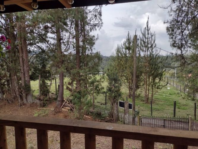 Finca en  Venta en Santa Elena, Medellín - Miniatura 19