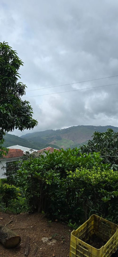 Finca en  Venta en Calucata, La mesa - Miniatura 5