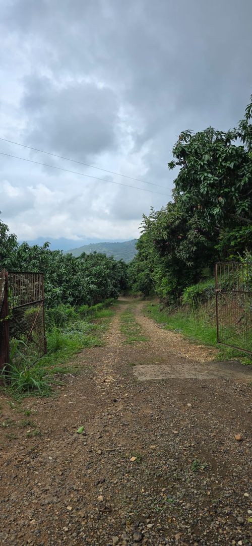 Finca en  Venta en Calucata, La mesa - Miniatura 6