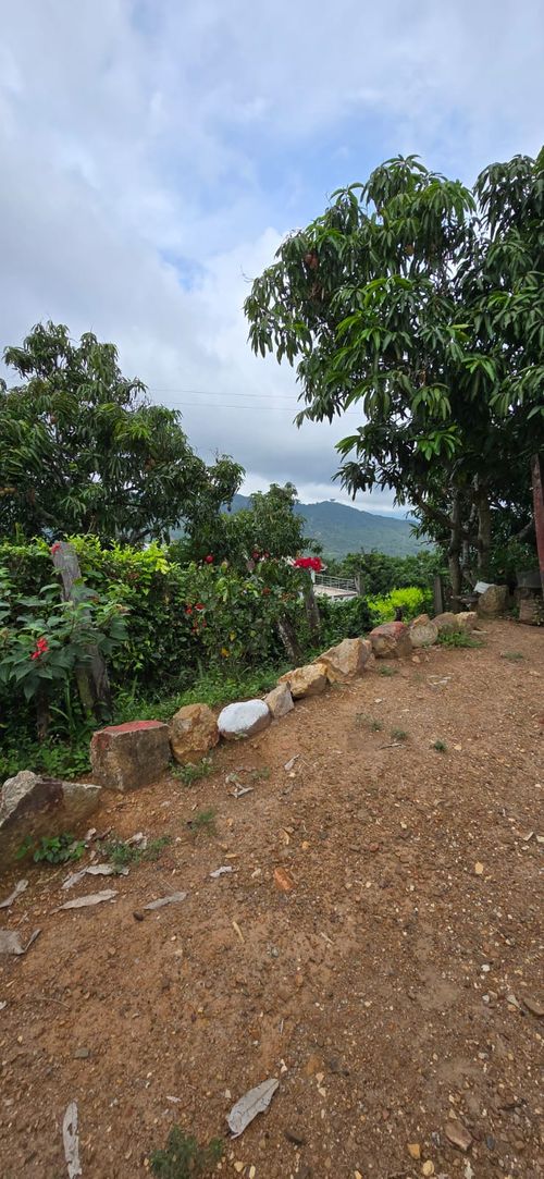 Finca en  Venta en Calucata, La mesa - Miniatura 11