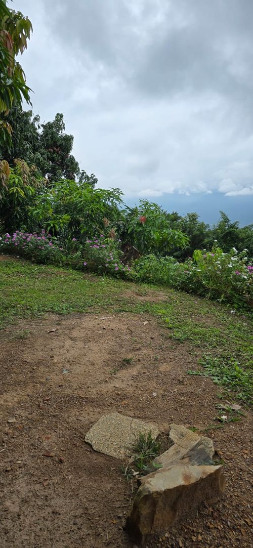 Finca en  Venta en Calucata, La mesa - Miniatura 12